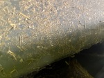 Threshing/Cleaning with 