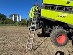 General Appearance with Steps/Ladders