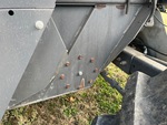 General Appearance with Paint