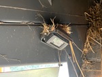 Chaff Discharge with 