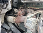 Engine with Exhaust System