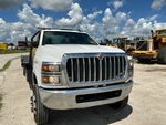 General Appearance with Paint