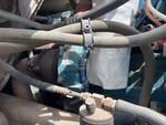 Engine with Exhaust System