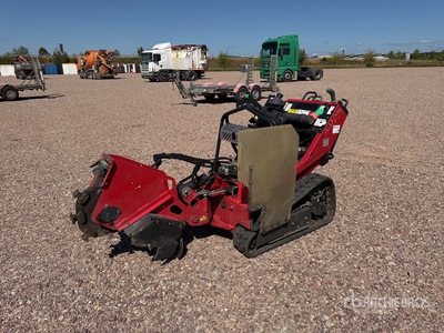 2018 Barreto 30-SG Tracked Rogneuse De Souche Stump Grinder