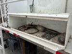 Configuration with Boîtes de rangement / outils