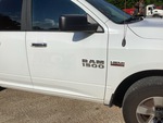 General Appearance with Paint