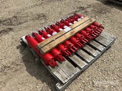 Quantity of (10) Hydraulic Cylinder