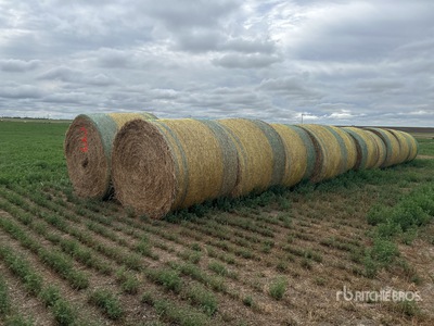 Quantity of (20) Round Bales
