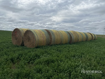 Quantity of (20) Round Bales