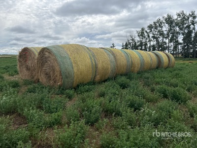 Quantity of (16) Round Bales
