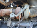 Engine with Exhaust System
