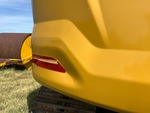General Appearance with Paint