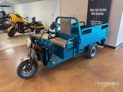 2026 SDLOOL SL-EC15 Electric Trike (Unused)