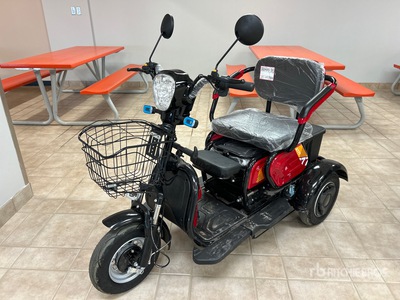 2026 SDLOOL SL-D3 Electric Trike (Unused)