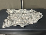 General Appearance #3