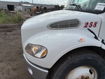 General Appearance with Paint