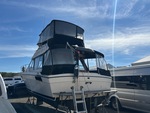 Picture, Left Rear Corner