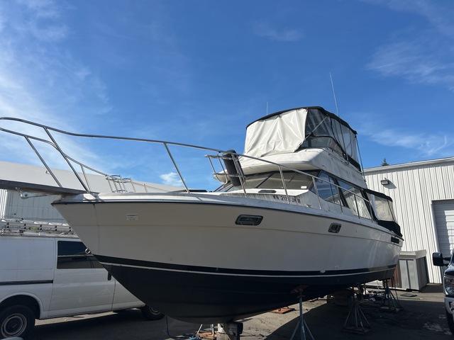 1980 Bayliner 31 ft Fishing Boat 1980 Bayliner 31 ft Fishing Boat