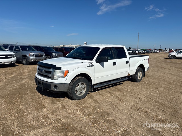 1FTFW1EF3EFB04837 2014 Ford F-150 photo no. 1