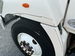 General Appearance with Paint