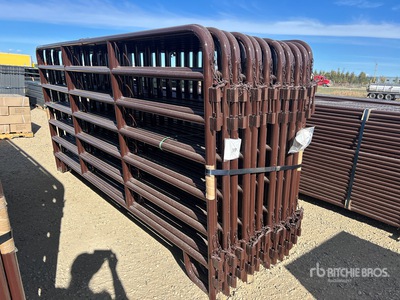 Quantity of (21) 2025 BYT HDALYPNL12 12 ft Alley Recinto per bestiame (Unused)