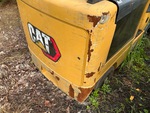 General Appearance with Paint