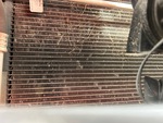 Engine with Radiator