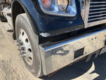 General Appearance with Paint