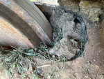 Undercarriage with Left Track Tensioner
