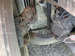 Brakes with 