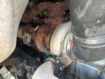 Engine with Exhaust System