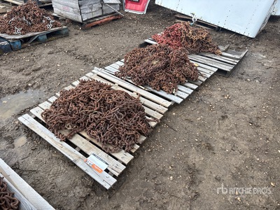 Quantity of Tire Chains
