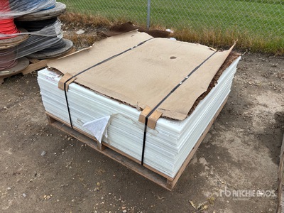 Quantity of White Sheet : Polyethylene Divers - Magasin, entrepôt, consommateur