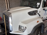General Appearance with Paint