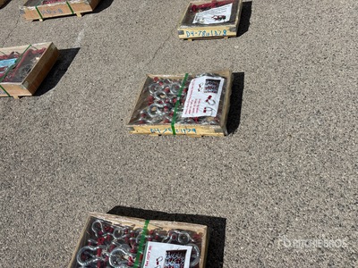Quantity of (30) Heavy-Duty D-Ring Grillete (Unused)