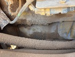 Motor with Oil Leaks