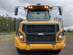 General Appearance with Exterior Lights