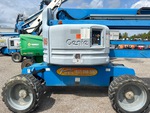 General Appearance with Paint