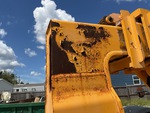 General Appearance with Paint
