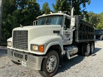General Appearance with Paint
