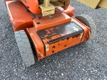 General Appearance with Paint