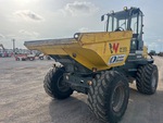 General Appearance with Paint