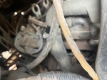 Engine with Exhaust System