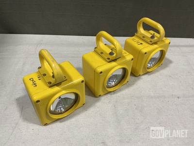 (30) Electric Lanterns