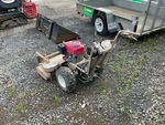 Picture, Left Rear Corner
