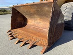 Specialty with Loader Bucket Condition