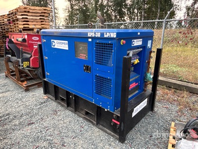 2020 Kustom Power Solutions KPS-30-3 LP/NG 25 kW Skid-Mounted Generator Set