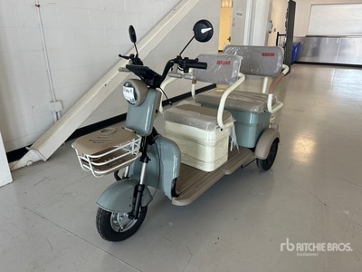 Electric Trike (Unused)