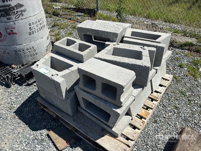 Quantity of (17) Cinder Blocks