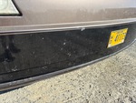 General Appearance with Paint